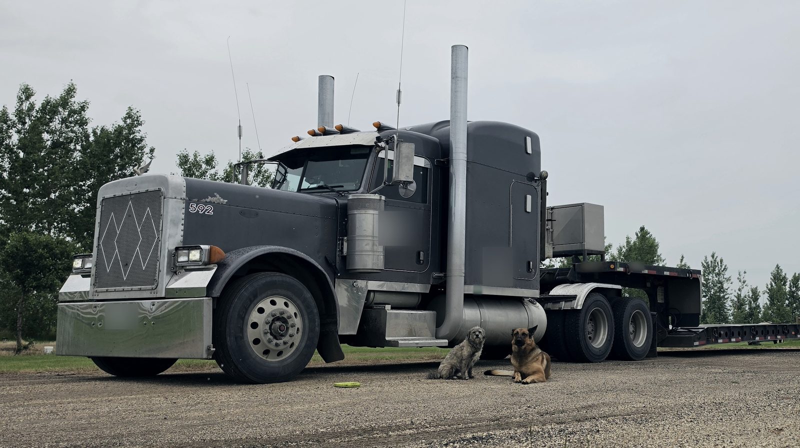 Grey long-nose Peterbilt 379 with tall stacks and a lowboy trailer parked on a gravel yard in Manitoba
